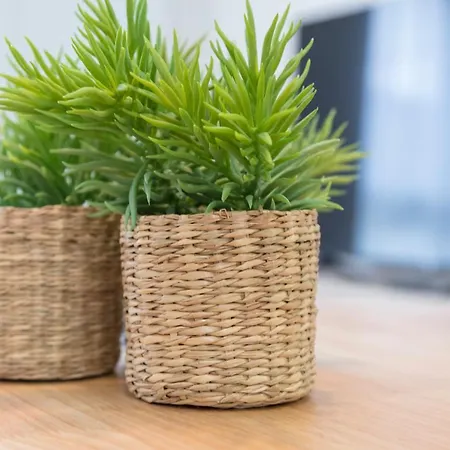 Apartament & Port Gandia